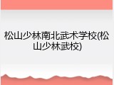 松山少林南北武术学校(松山少林武校)