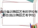 临汾集训舞蹈艺考的学校有哪些(临汾舞蹈艺考学校)