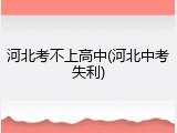 河北考不上高中(河北中考失利)