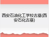 西安石油化工学校古墓(西安石化古墓)