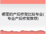 哪里的产后修复比较专业(专业产后修复推荐)