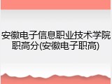 安徽电子信息职业技术学院职高分(安徽电子职高)
