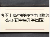 考不上高中的初中生出路怎么办(初中生升学出路)