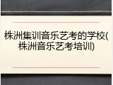 株洲集训音乐艺考的学校(株洲音乐艺考培训)