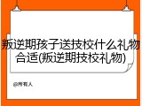 叛逆期孩子送技校什么礼物合适(叛逆期技校礼物)
