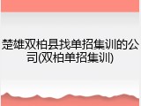 楚雄双柏县找单招集训的公司(双柏单招集训)
