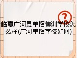 临夏广河县单招集训学校怎么样(广河单招学校如何)