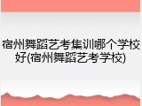 宿州舞蹈艺考集训哪个学校好(宿州舞蹈艺考学校)