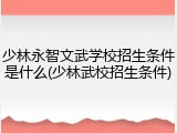 少林永智文武学校招生条件是什么(少林武校招生条件)