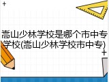嵩山少林学校是哪个市中专学校(嵩山少林学校市中专)
