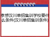 孝感汉川单招集训学校要什么条件(汉川单招集训条件)