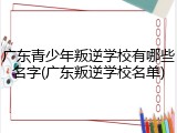 广东青少年叛逆学校有哪些名字(广东叛逆学校名单)