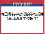 海口哪有学动漫的学校招生(海口动漫学校招生)