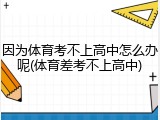 因为体育考不上高中怎么办呢(体育差考不上高中)