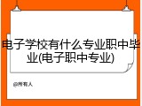 电子学校有什么专业职中毕业(电子职中专业)