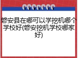 磐安县在哪可以学挖机哪个学校好(磐安挖机学校哪家好)
