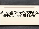 武昌实验寄宿学校高中部在哪里(武昌实验高中位置)