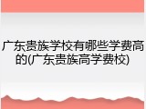 广东贵族学校有哪些学费高的(广东贵族高学费校)
