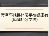 菏泽郓城县补习学校哪里有(郓城补习学校)