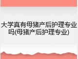大学真有母猪产后护理专业吗(母猪产后护理专业)