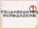 平顶山宝丰县农业技术职业学校学费(宝丰农校学费)
