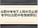 合肥中考考不上高中怎么报考学校(合肥中考落榜择校)