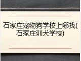 石家庄宠物狗学校上哪找(石家庄训犬学校)