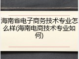 海南省电子商务技术专业怎么样(海南电商技术专业如何)