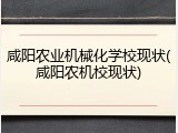 咸阳农业机械化学校现状(咸阳农机校现状)