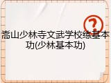 嵩山少林寺文武学校练基本功(少林基本功)