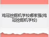 鸡冠挖掘机学校哪家强(鸡冠挖掘机学校)