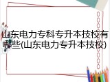 山东电力专科专升本技校有哪些(山东电力专升本技校)
