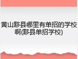 黄山黟县哪里有单招的学校啊(黟县单招学校)
