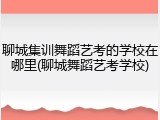 聊城集训舞蹈艺考的学校在哪里(聊城舞蹈艺考学校)