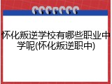 怀化叛逆学校有哪些职业中学呢(怀化叛逆职中)
