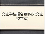 文武学校报名费多少(文武校学费)