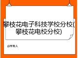 攀枝花电子科技学校分校(攀枝花电校分校)