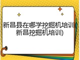 新昌县在哪学挖掘机培训(新昌挖掘机培训)