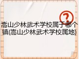 嵩山少林武术学校属于哪个镇(嵩山少林武术学校属地)