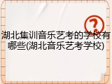 湖北集训音乐艺考的学校有哪些(湖北音乐艺考学校)