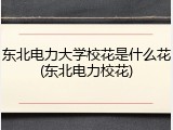 东北电力大学校花是什么花(东北电力校花)