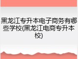 黑龙江专升本电子商务有哪些学校(黑龙江电商专升本校)