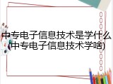 中专电子信息技术是学什么(中专电子信息技术学啥)