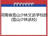 河南省嵩山少林文武学校的(嵩山少林武校)