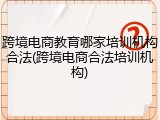 跨境电商教育哪家培训机构合法(跨境电商合法培训机构)