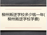 柳州叛逆学校多少钱一年(柳州叛逆学校学费)