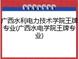 广西水利电力技术学院王牌专业(广西水电学院王牌专业)