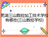 芜湖三山数控加工技术学校有哪些(三山数控学校)