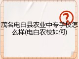 茂名电白县农业中专学校怎么样(电白农校如何)