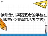 徐州集训舞蹈艺考的学校在哪里(徐州舞蹈艺考学校)